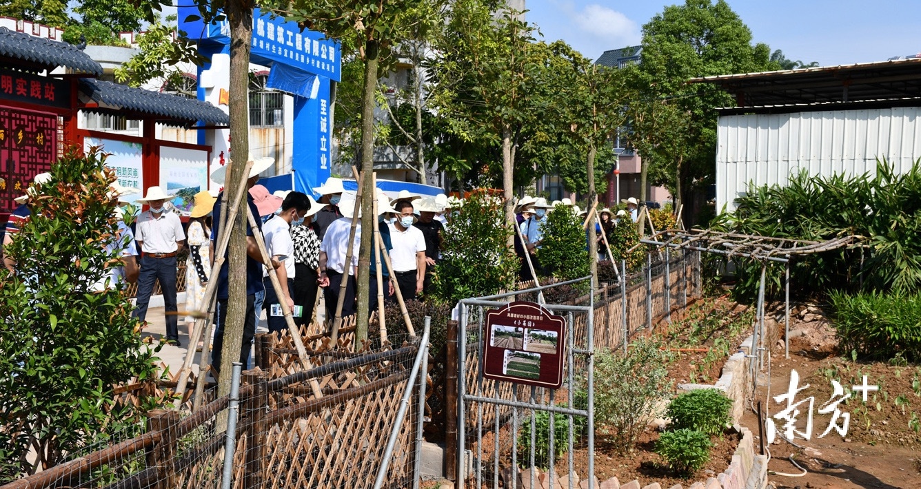 在湘桥区委书记、区长曾俊喜带领下，与会人员走进田间地头实地调研。通讯员供图