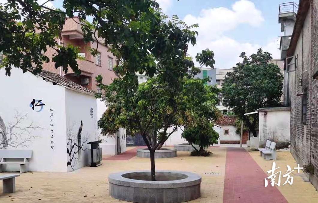 塔岗村芒果园小公园改造后
