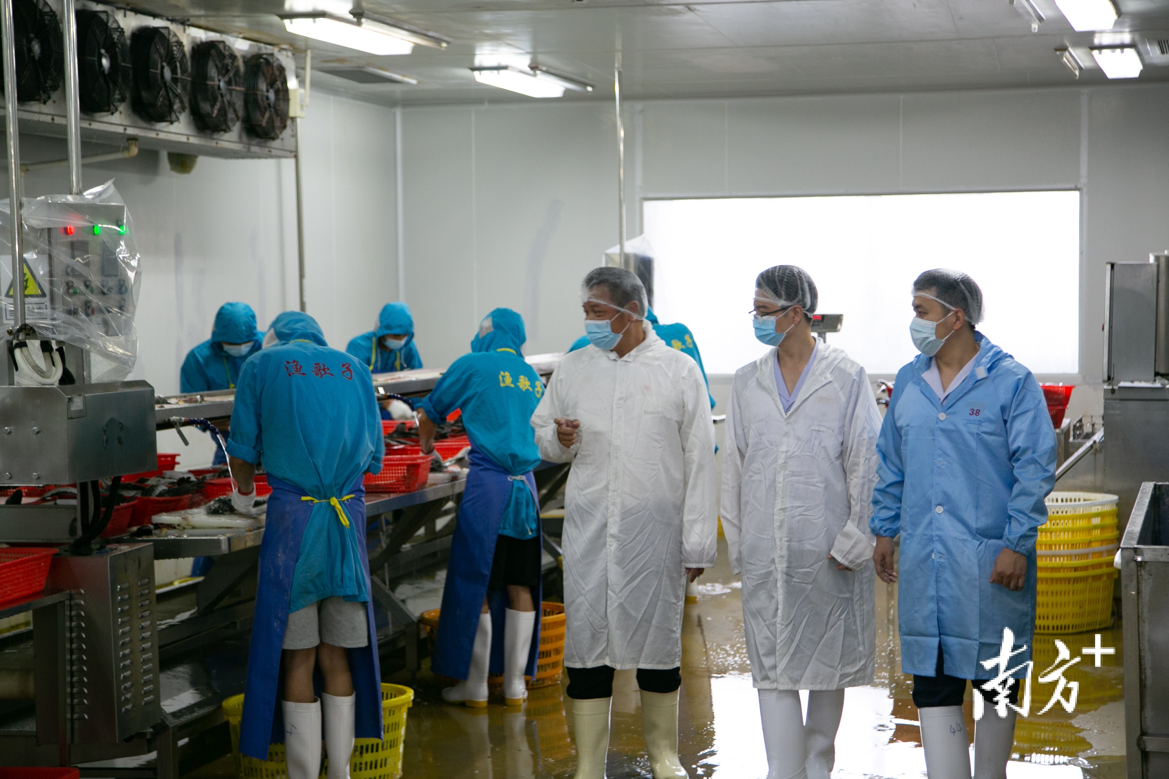 南方+ 卢子衡 制图