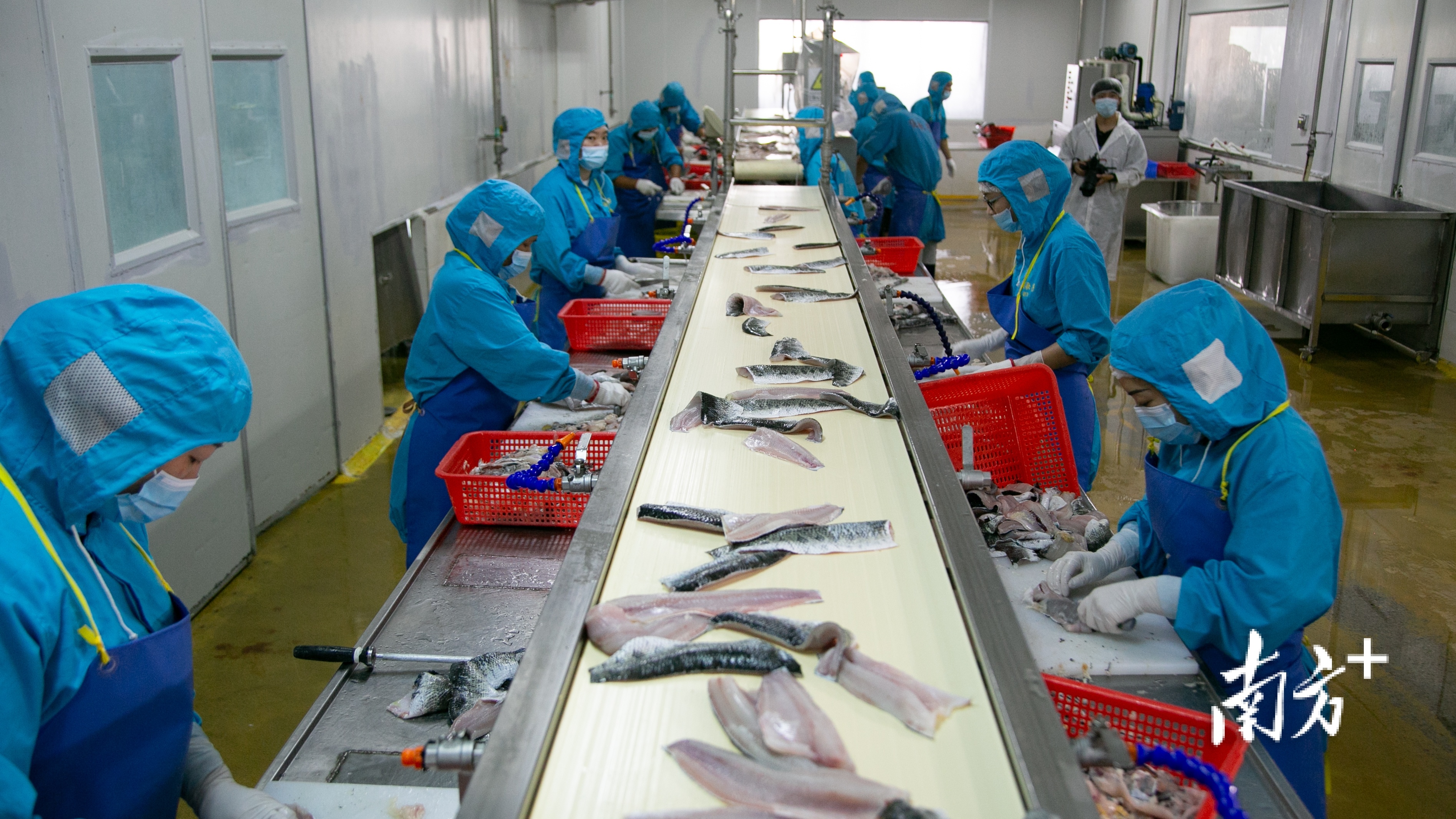 南方+ 卢子衡 制图