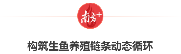 南方+ 卢子衡 制图