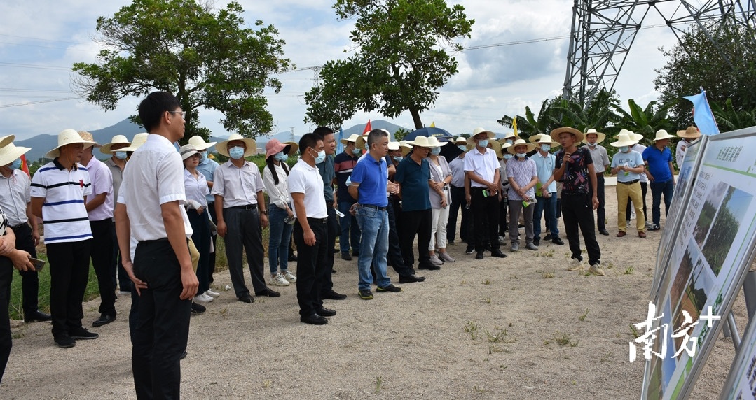 在湘桥区委书记、区长曾俊喜带领下，与会人员走进田间地头实地调研。通讯员供图