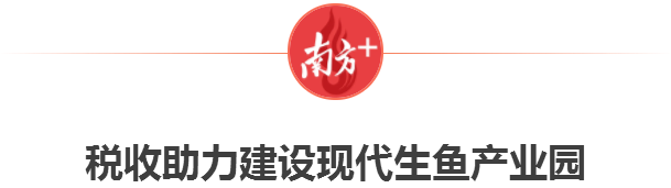 南方+ 卢子衡 制图