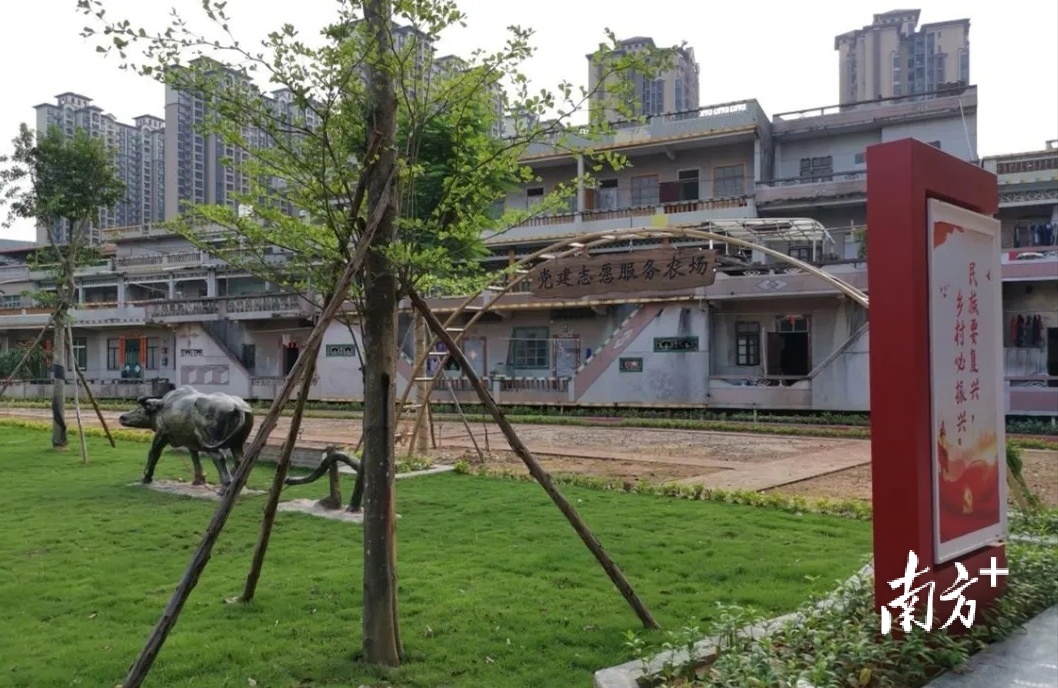 坑美村神主前党建公园改造后