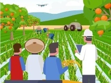 今年夏天，盡顯農(nóng)村科技特派員風(fēng)采