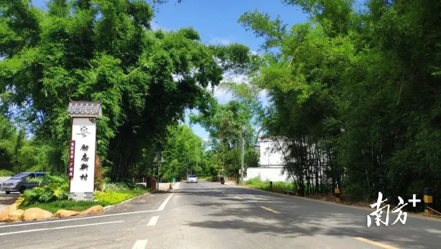 台洞村委励志新村。来源 封开发布 郭建光 摄 台洞村委励志新村。来源 封开发布 郭建光 摄