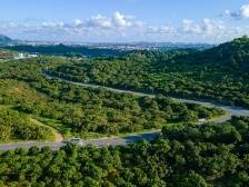 龙眼季成绩单来了| 速览《南方日报·高州视窗》第27期