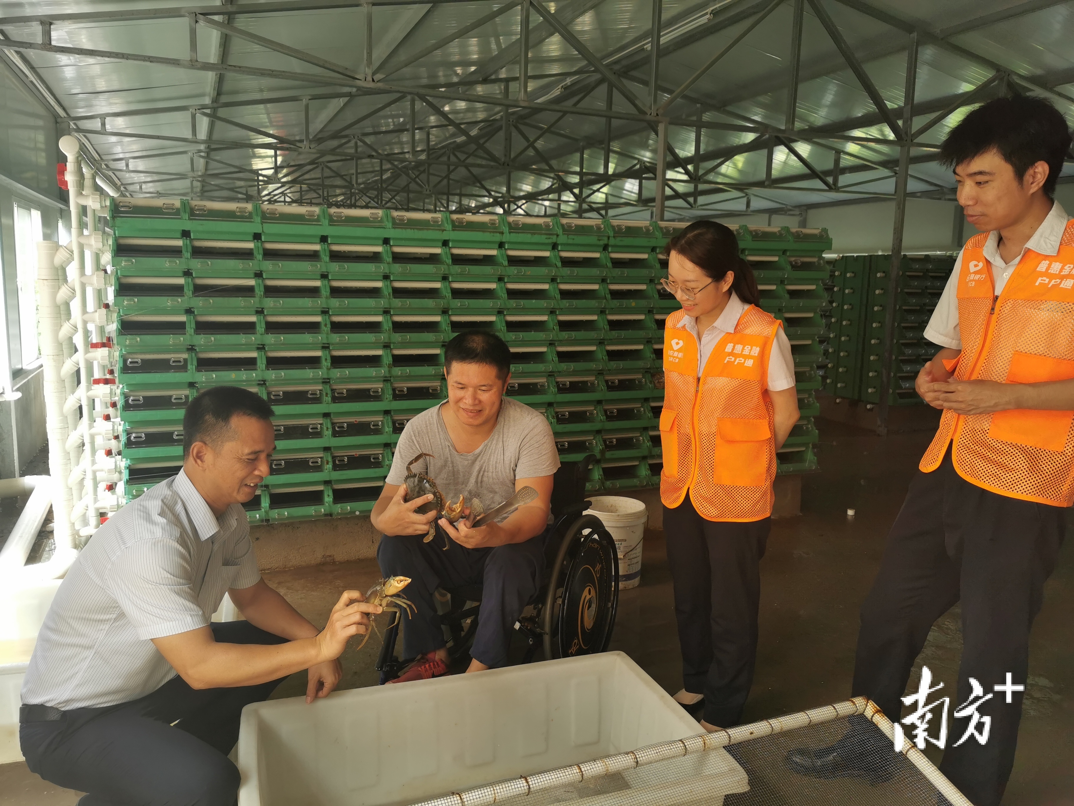 台山农商银行利用金融动车助力退伍军人创业创新。 台山农商银行 供图 台山农商银行利用金融动车助力退伍军人创业创新。 台山农商银行 供图