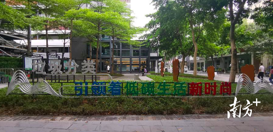 受访者 供图 受访者 供图