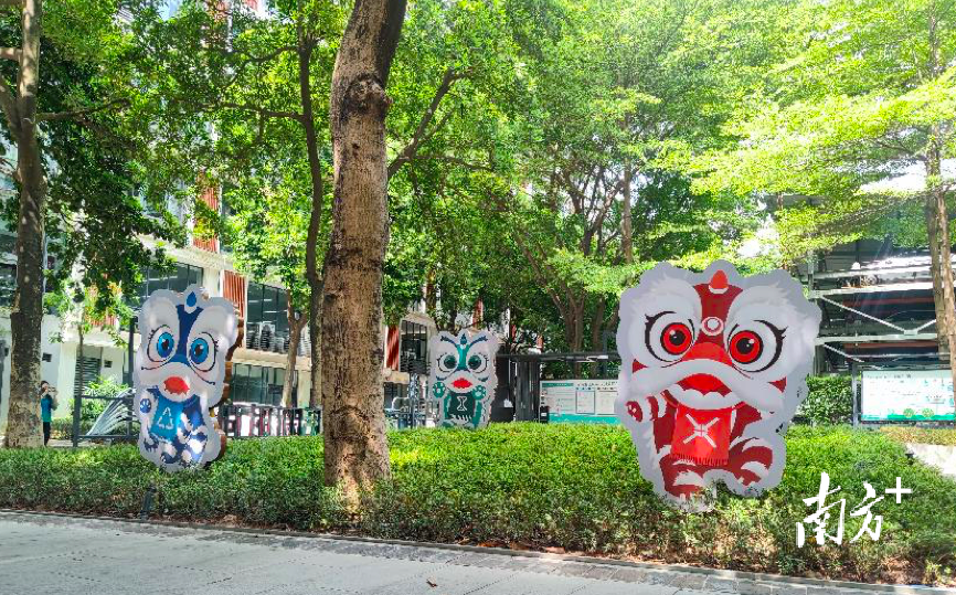 受访者供图 受访者供图