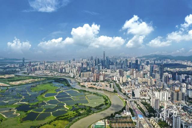 从深圳河畔看深港边境。南方日报记者 朱洪波 摄