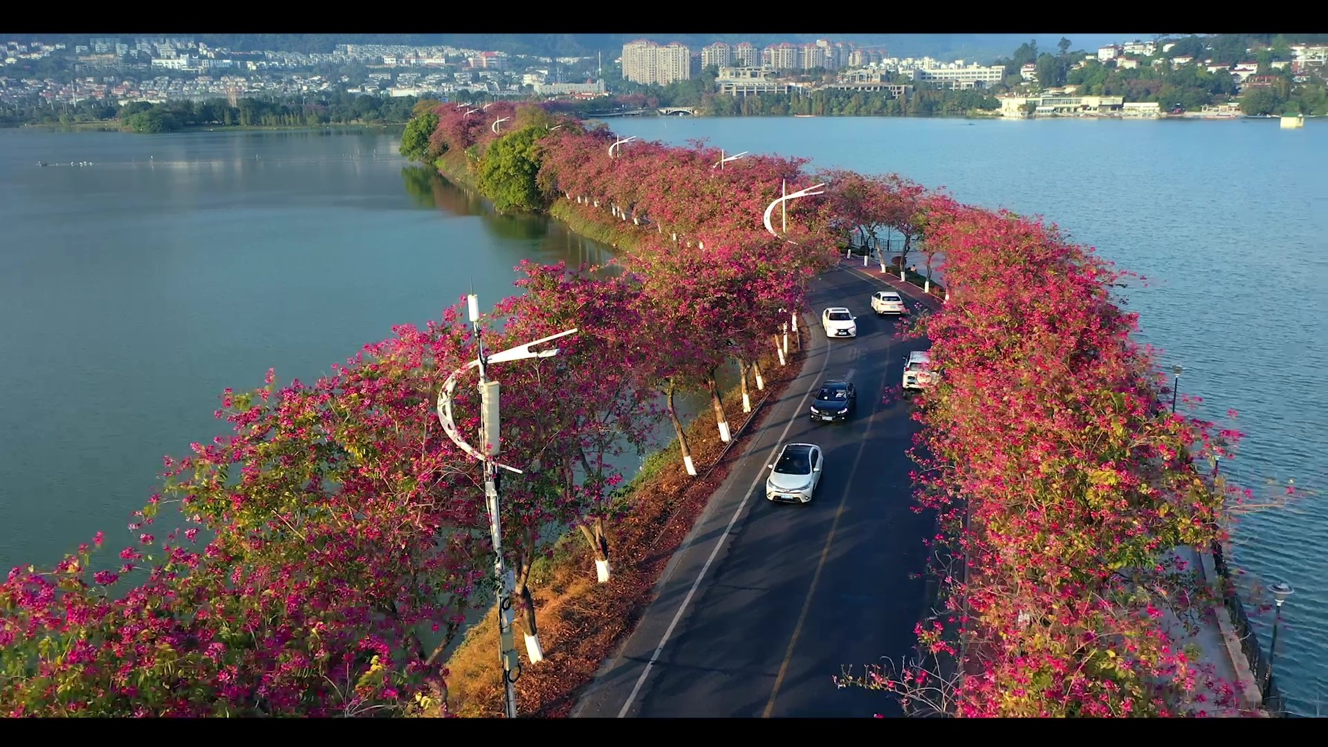   通讯员/受访者供图