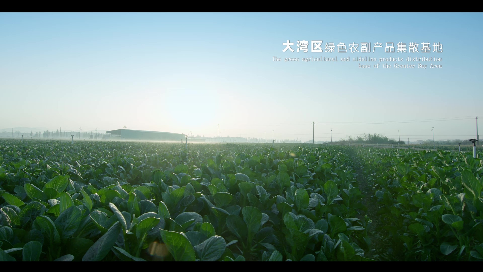   通讯员/受访者供图