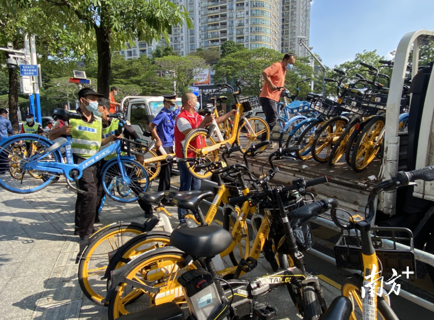 20多名党员志愿者、交警和城市管理执法人员一道，对桂城街道城市广场周围的共享单车进行清理。南方+ 肖莎莎 摄