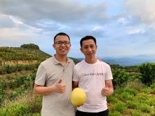 “柚”惑不断！粤字号品牌“驮娘柚”首批发货近10万斤