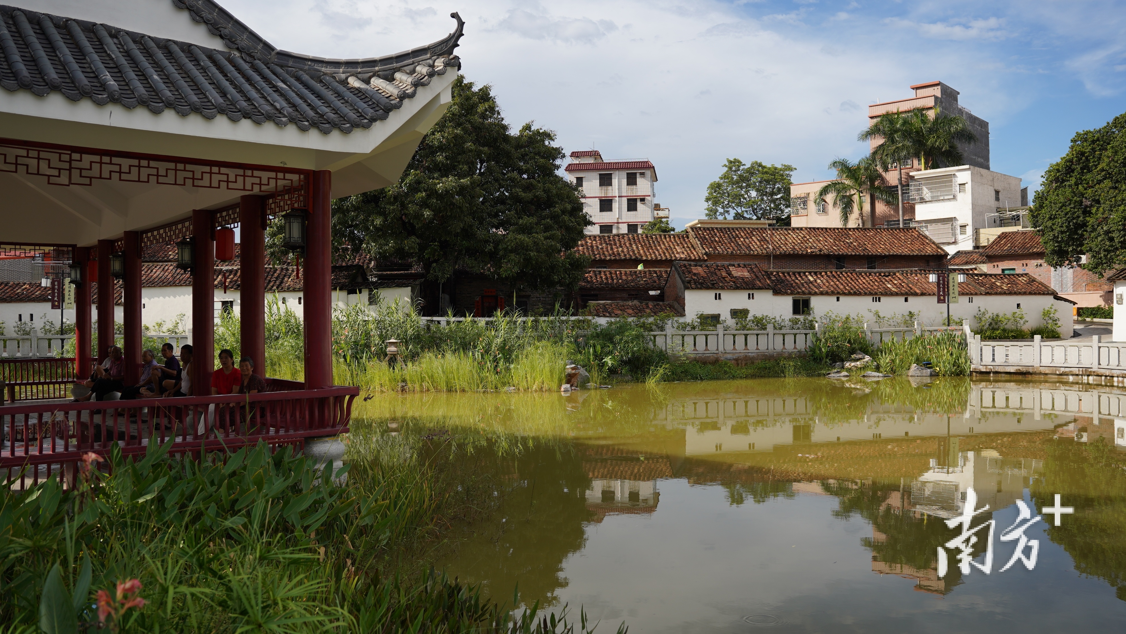 禾坑村的半亩方塘