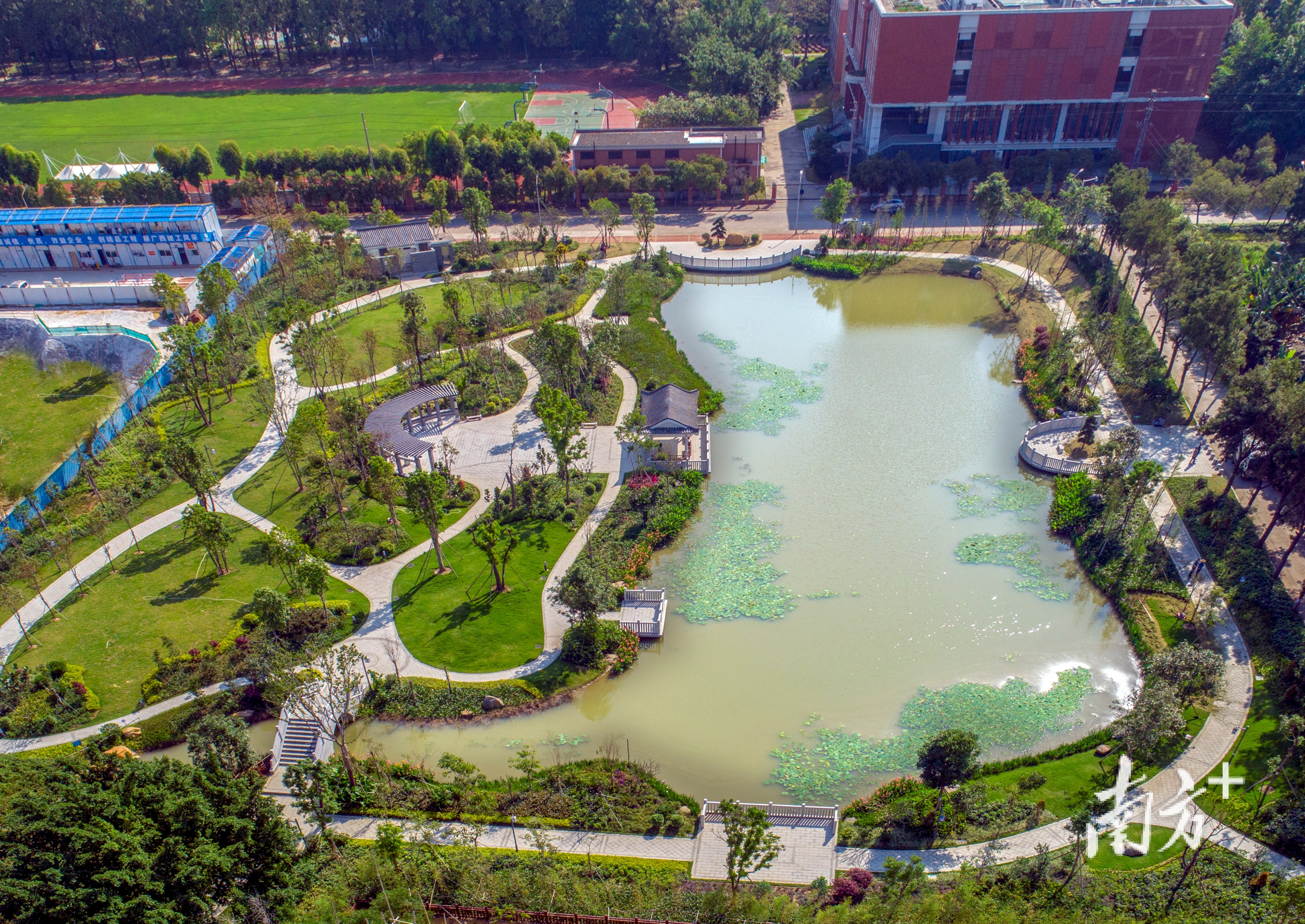 航拍潢涌村湿地公园