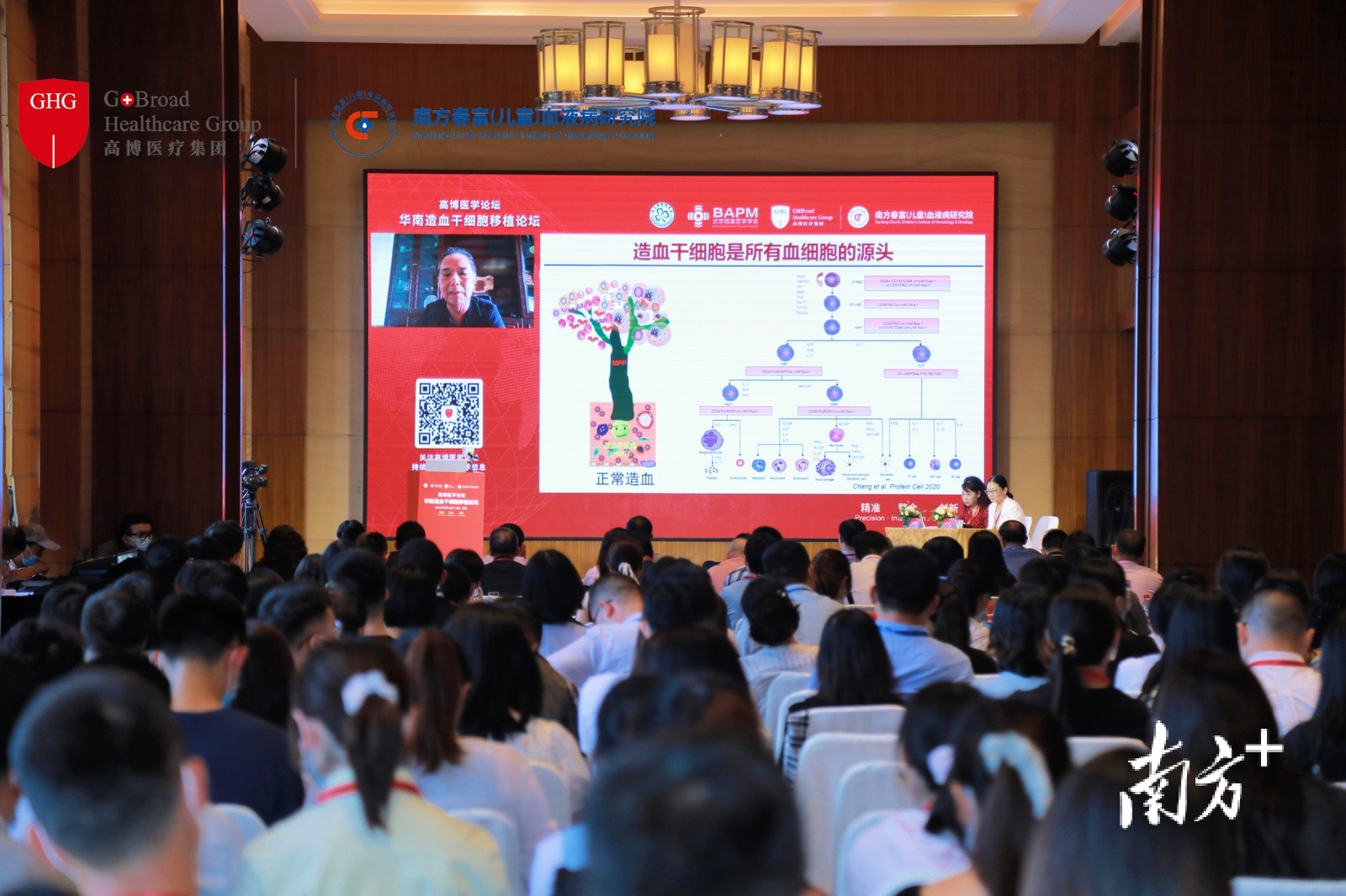 南方春富（儿童）血液病研究院在东莞完成了近600例造血干细胞移植  通讯员/受访者 春富研究院 供图