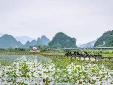 文明创建让村镇“塑形铸魂”，清远文明村镇覆盖率达97.8%