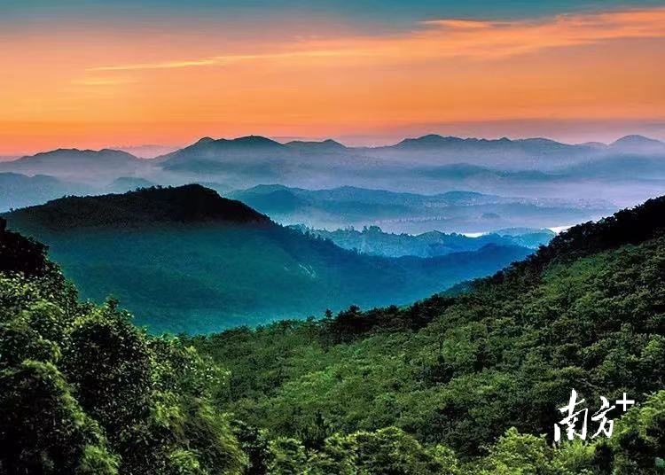 南方+ 周甫琦 拍摄