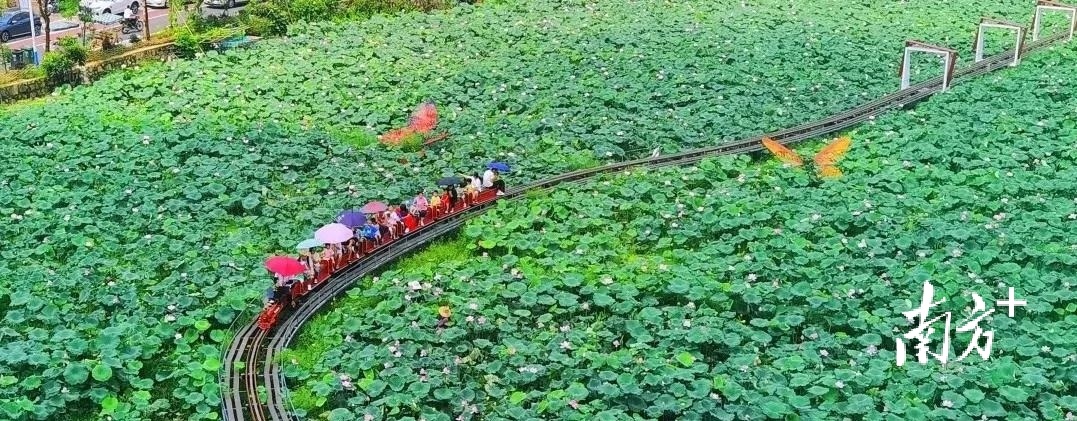 南方+ 周甫琦 拍摄