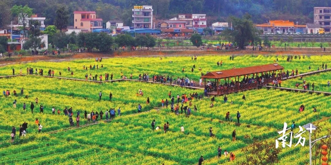 南方+ 周甫琦 拍摄