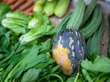 韶关：菜篮子里彰显文明新风