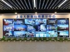 年交易总量超120亿次，上海数据交易中心谁最活跃？｜数据新价值⑪