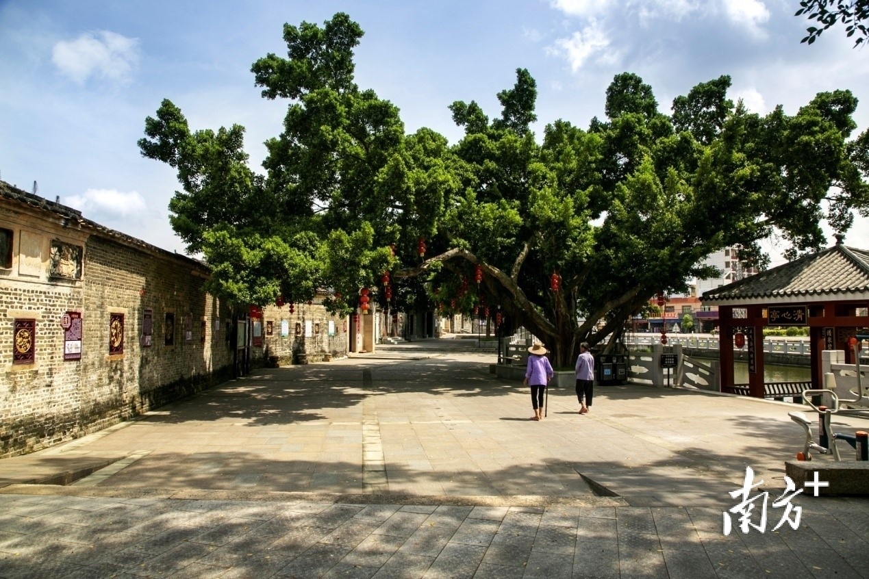 回龙镇赤水塘社区清心亭和廉政文化墙景观。张勇坤摄 回龙镇赤水塘社区清心亭和廉政文化墙景观。张勇坤摄