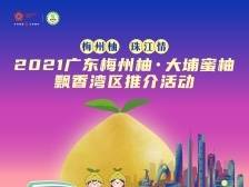2021广东梅州柚·大埔蜜柚飘香湾区推介活动
