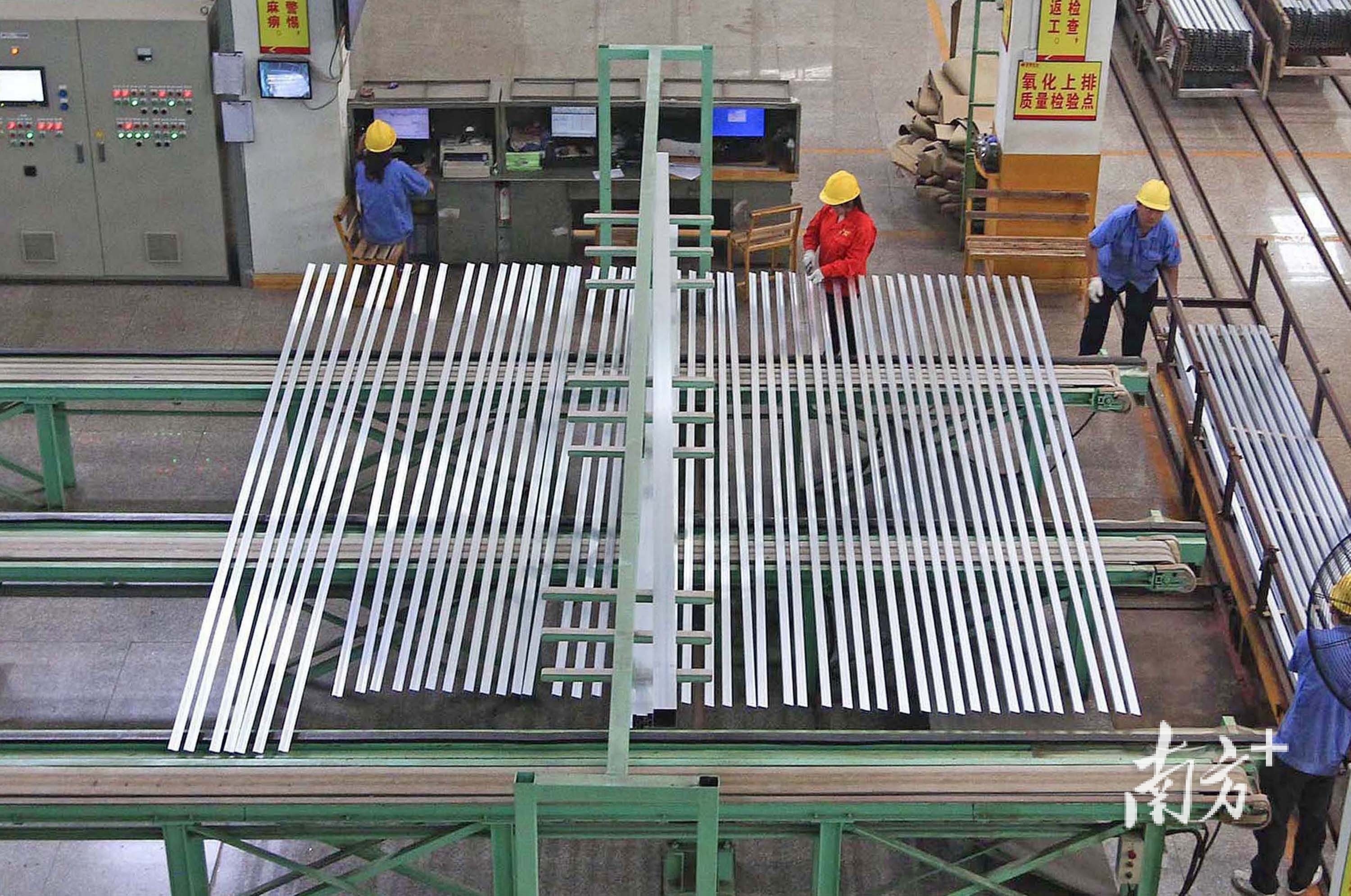 戴嘉信 摄 戴嘉信 摄