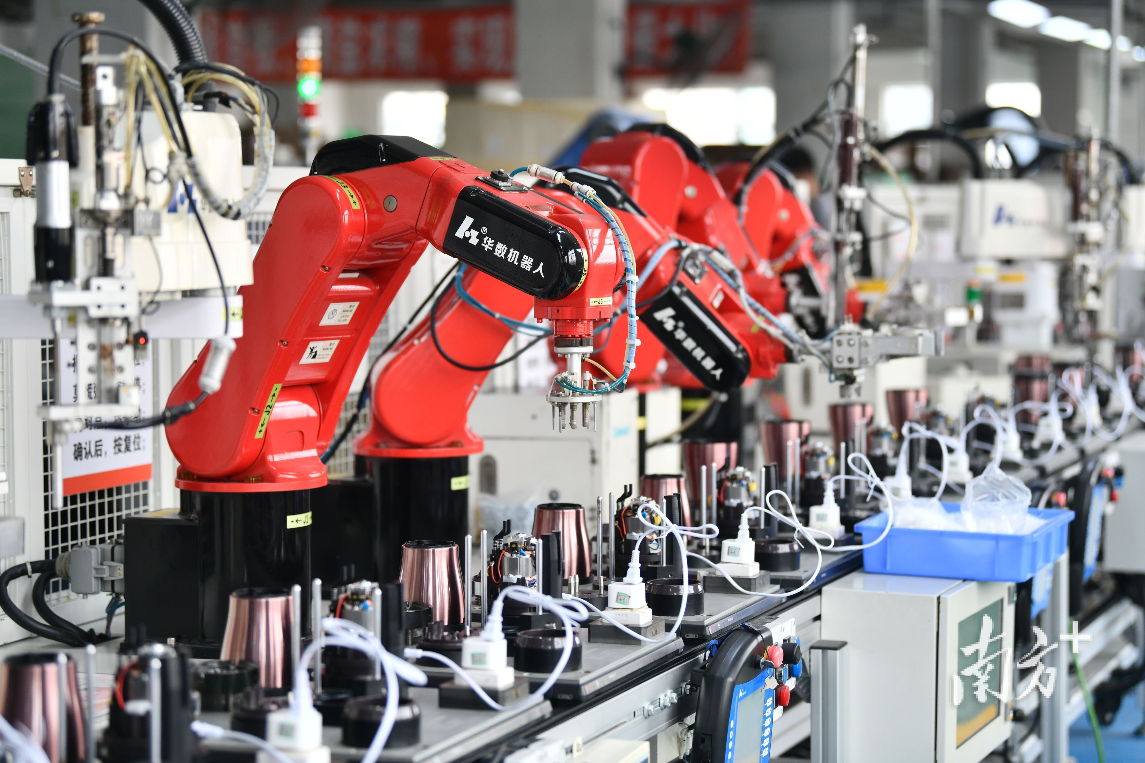 戴嘉信 摄 戴嘉信 摄