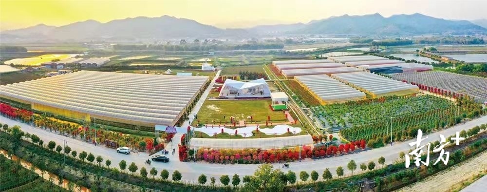 江谷镇花房营地。