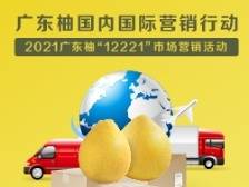 广东柚国内国际营销行动