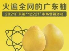 火遍全网的广东柚