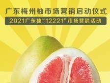 广东梅州柚市场营销启动仪式