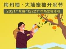 梅州柚·大埔蜜柚开采节