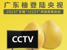 广东柚登录央视