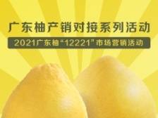 广东柚产销对接系列活动