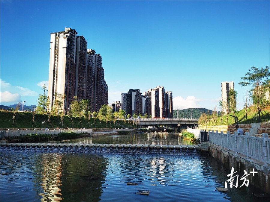 通讯员/受访者 清溪镇 供图