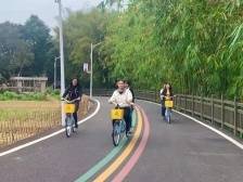 云浮丰盛村上榜第二批全国乡村治理示范村名单，打造有历史记忆的文明乡村