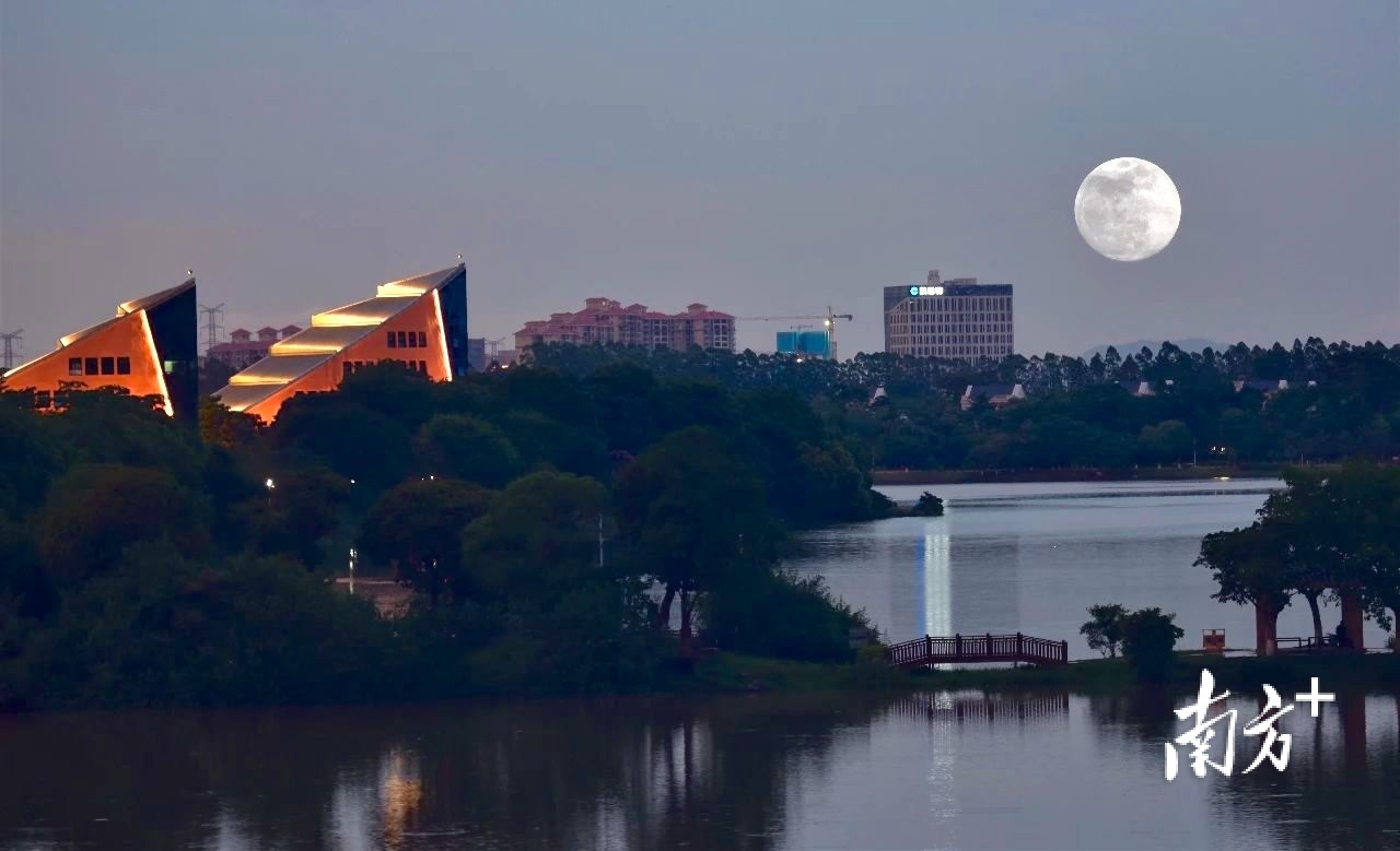 无  南方+ 张珊珊 制图