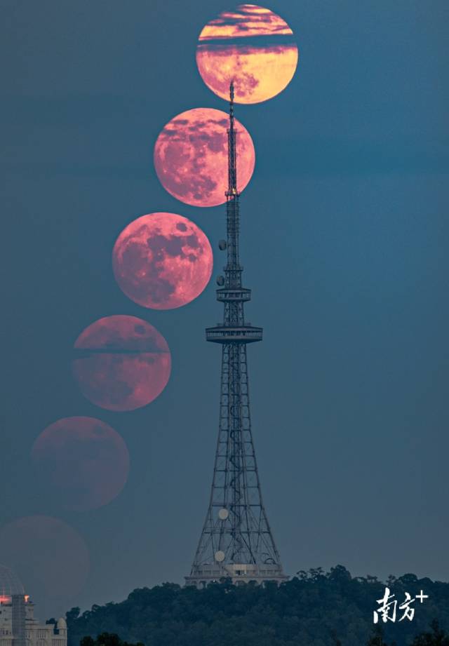 9月20日，阳江电视塔“悬月”。 未曾梦起 摄