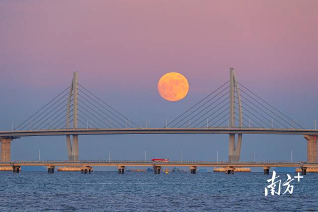 9月20日，霞光未退，圆月从珠海市拱北湾升起。 瑞 摄