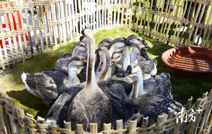 展会现场，受访者供图&nbsp;