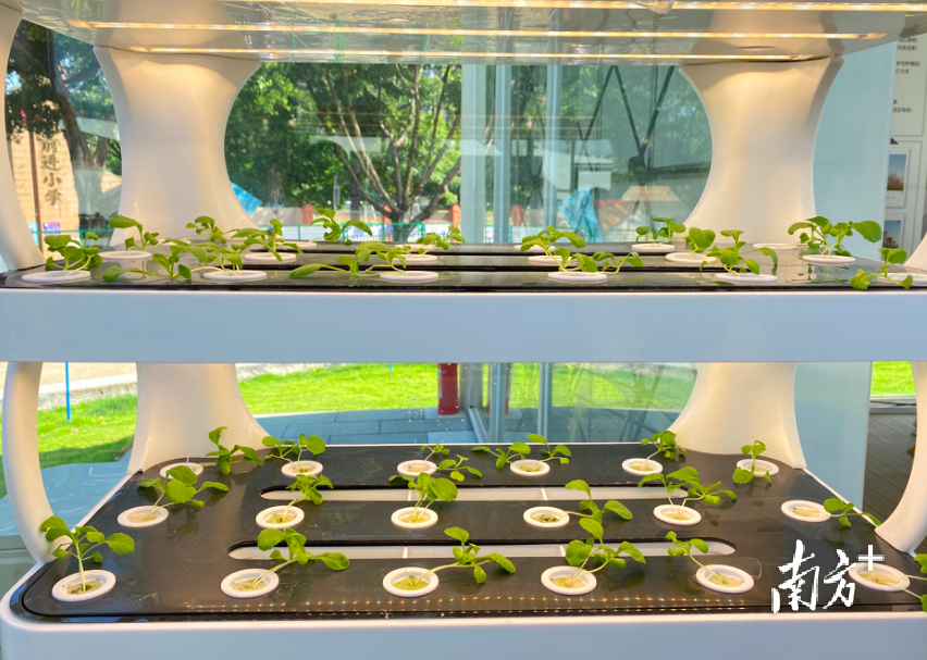 天河精品农业公园集科技示范、生态观光、科普教育于一体。 天河精品农业公园集科技示范、生态观光、科普教育于一体。