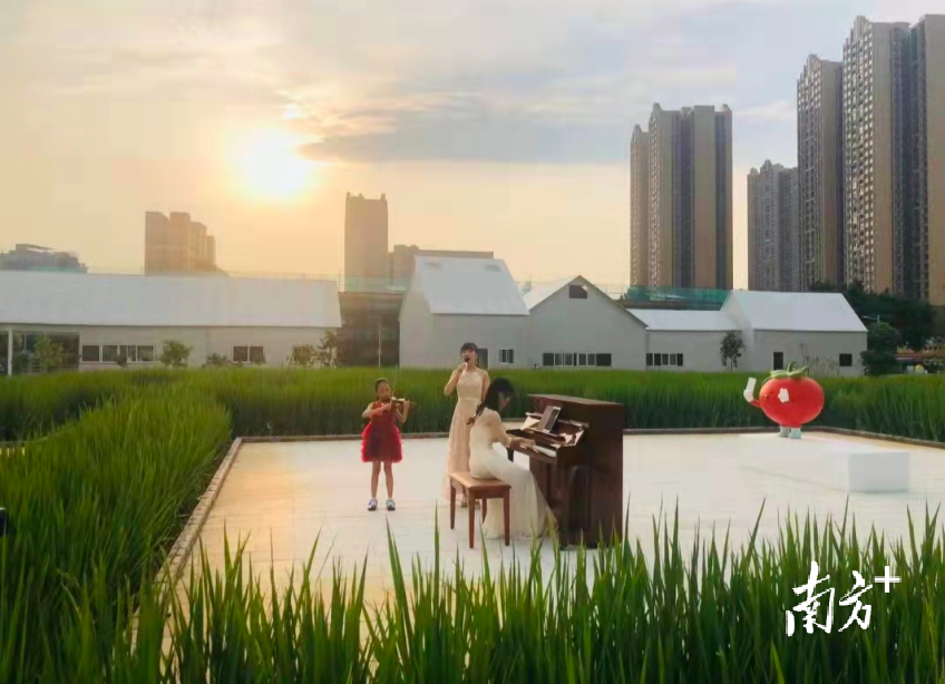 天河精品农业公园集科技示范、生态观光、科普教育于一体。 天河精品农业公园集科技示范、生态观光、科普教育于一体。