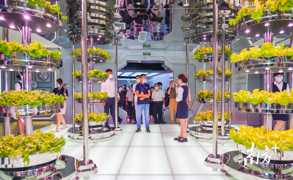 大湾区首个都市现代农业园在广州“城市客厅”亮相。 大湾区首个都市现代农业园在广州“城市客厅”亮相。