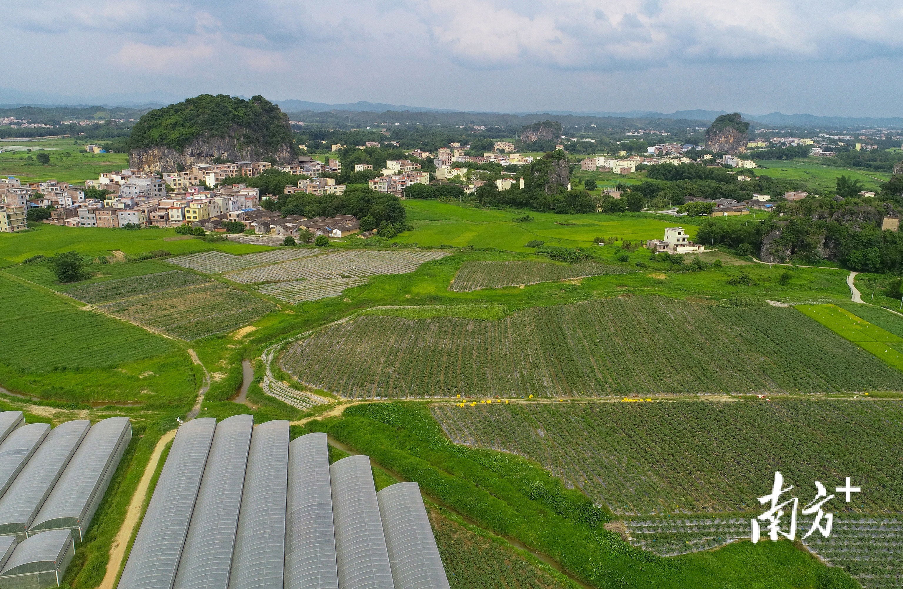 怀集建成了以丝苗米和蔬菜为主导产业的两个省级现代农业产业园。 受访者供图