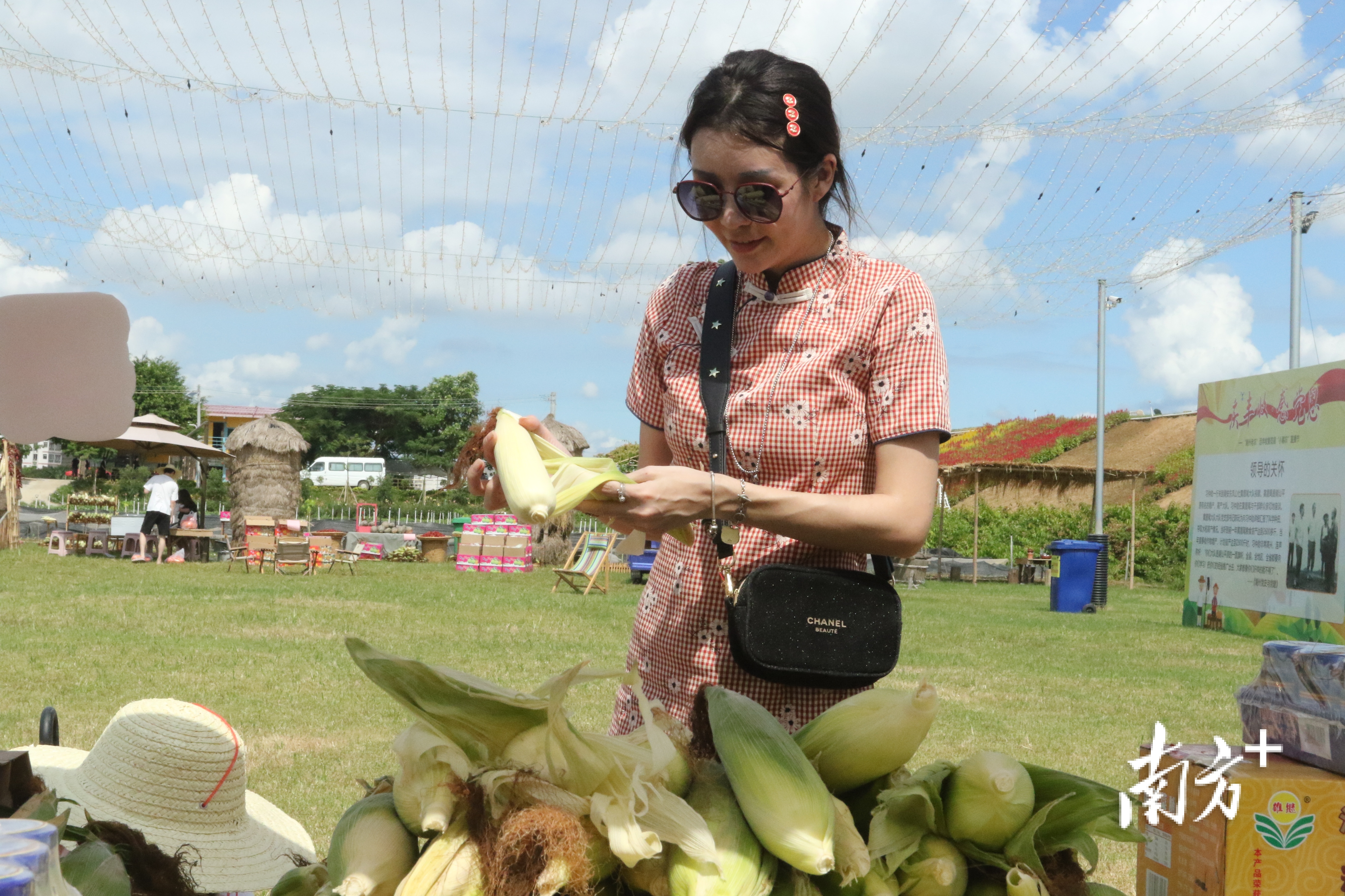 “小潮农”现场直播带货。陈树洁 摄